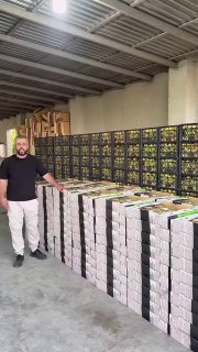 Первая тонна армянских абрикосов из Арабкира отправлена в Сингапур компанией Davtyan Farms