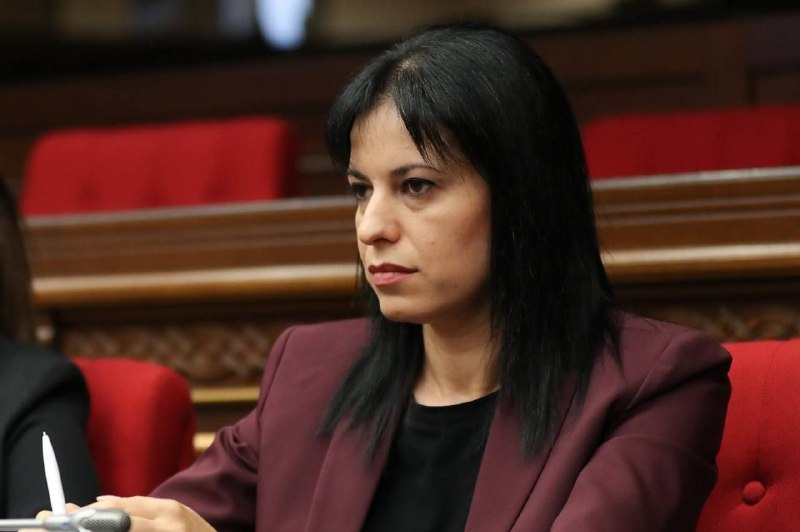 Обыск у кандидата от ППА Арегназ Манукян в Ереване: дело о шпионаже