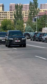 В Ереване в Ботаническом саду создают «Парк жизни»: работы идут по графику