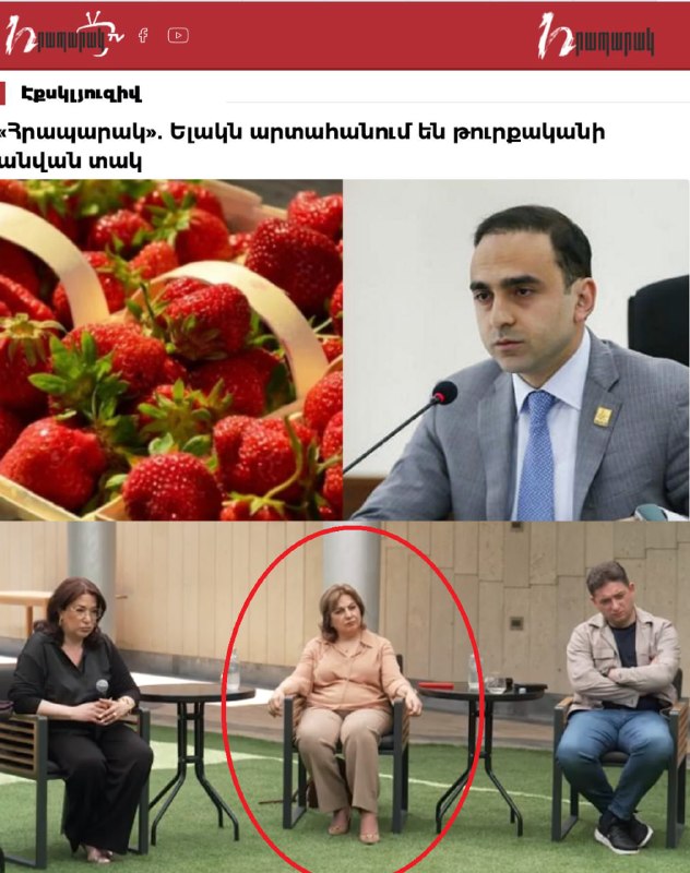 Минсельхоз Грузии опроверг данные о реэкспорте армянской клубники в РФ под видом турецкой