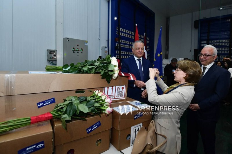 Первая партия роз из Армении в 5500 цветов экспортирована в Латвию