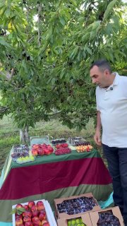 Первая партия армянских фруктов отправляется в ОАЭ: шаг для сельского хозяйства