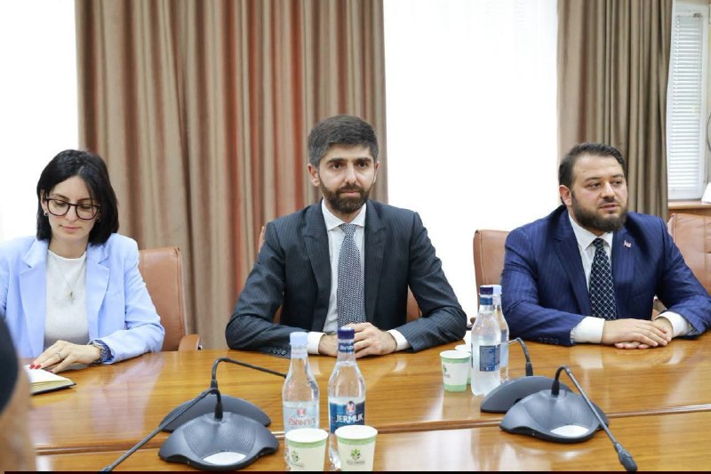 Встреча замминистра экономики Армении с делегацией ОАЭ в Ереване