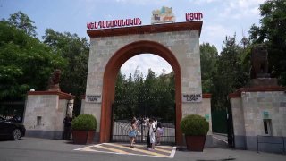 Животные из особняка Царукяна проходят адаптацию в Ереванском зоопарке: обследование и карантин